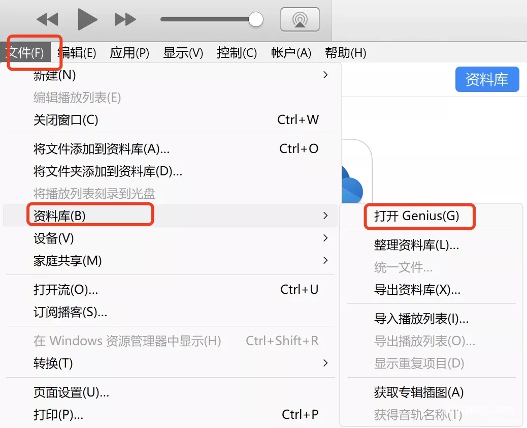 itunes app